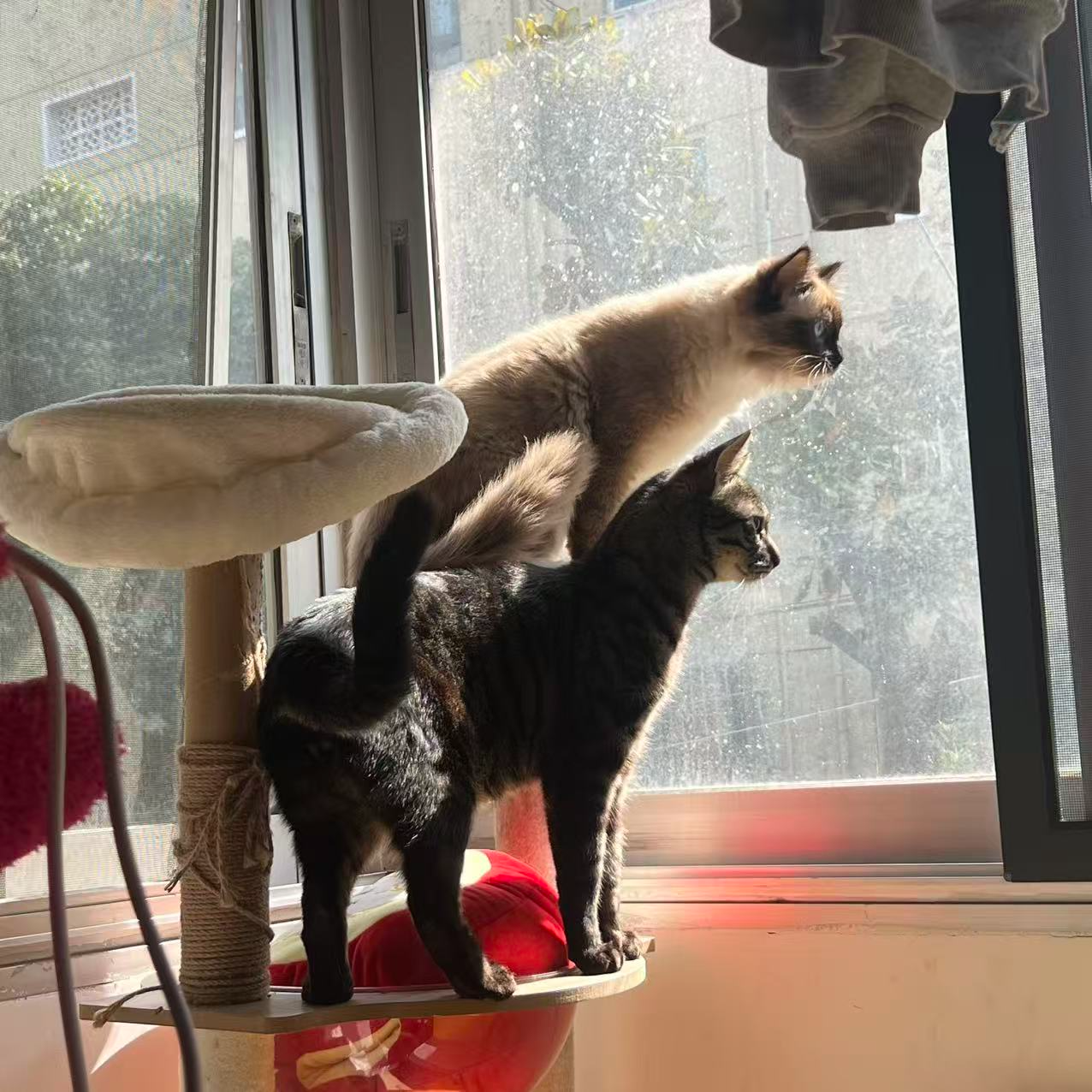 2026-02-28T15:17:30.png 2026-02-28T15:17:30.png